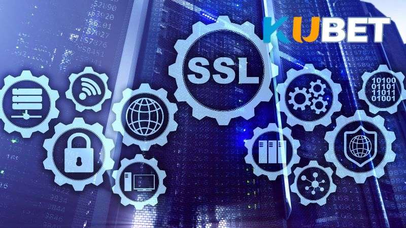Nhà cái áp dụng nhiều biện pháp bảo mật hiện đại như SSL 256-bit