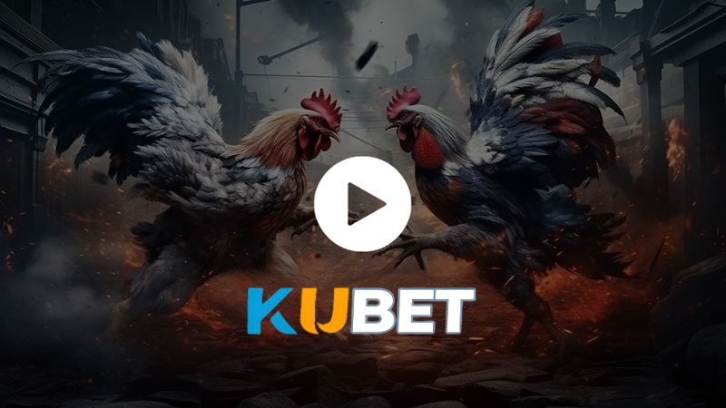 Cách Chơi Đá Gà KUBET - Bí Quyết Kiếm Tiền Từ Trận Đấu